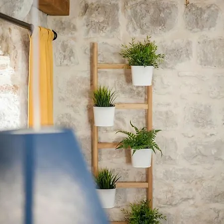 Lucia Penzion