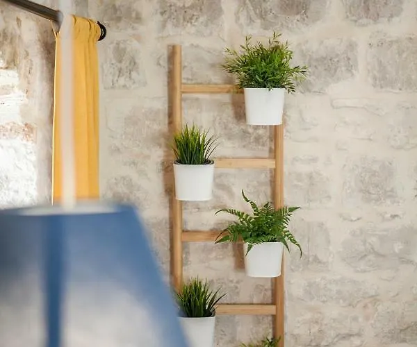 Lucia Πανσιόν